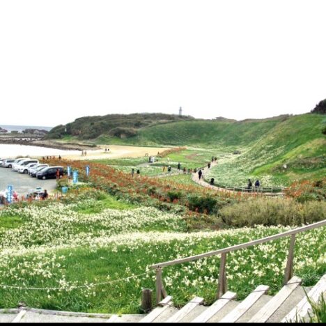 ムーンロードを眺めながらお散歩