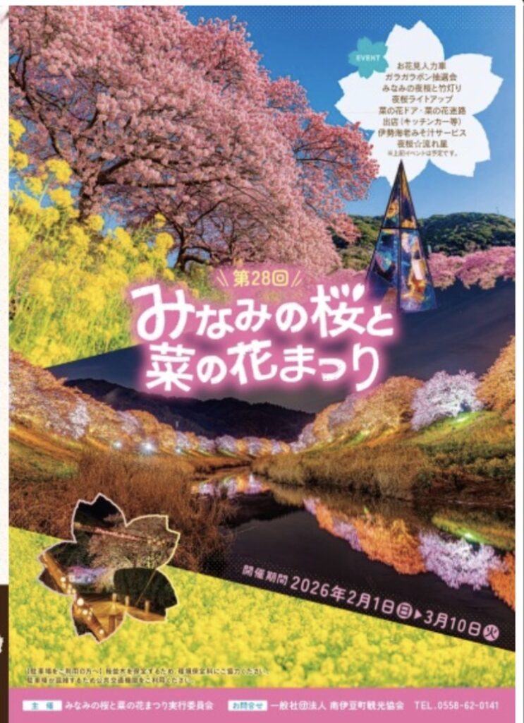 南伊豆の桜まつり!わんちゃんと一緒