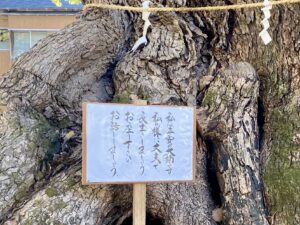 クスノキさんからのメッセージ