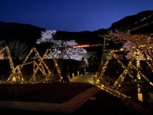 南伊豆桜まつりの竹で作られていて素敵