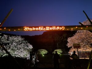 綺麗な光を感じる竹のネオン